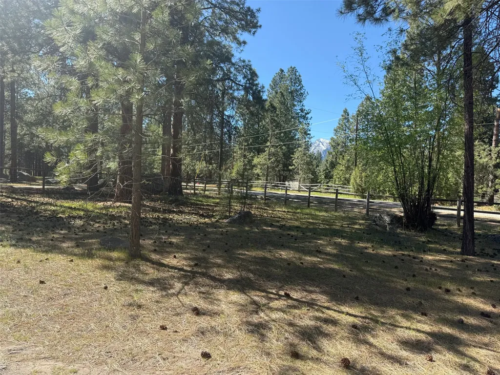 271 Wyant Lane Hamilton MT 59840