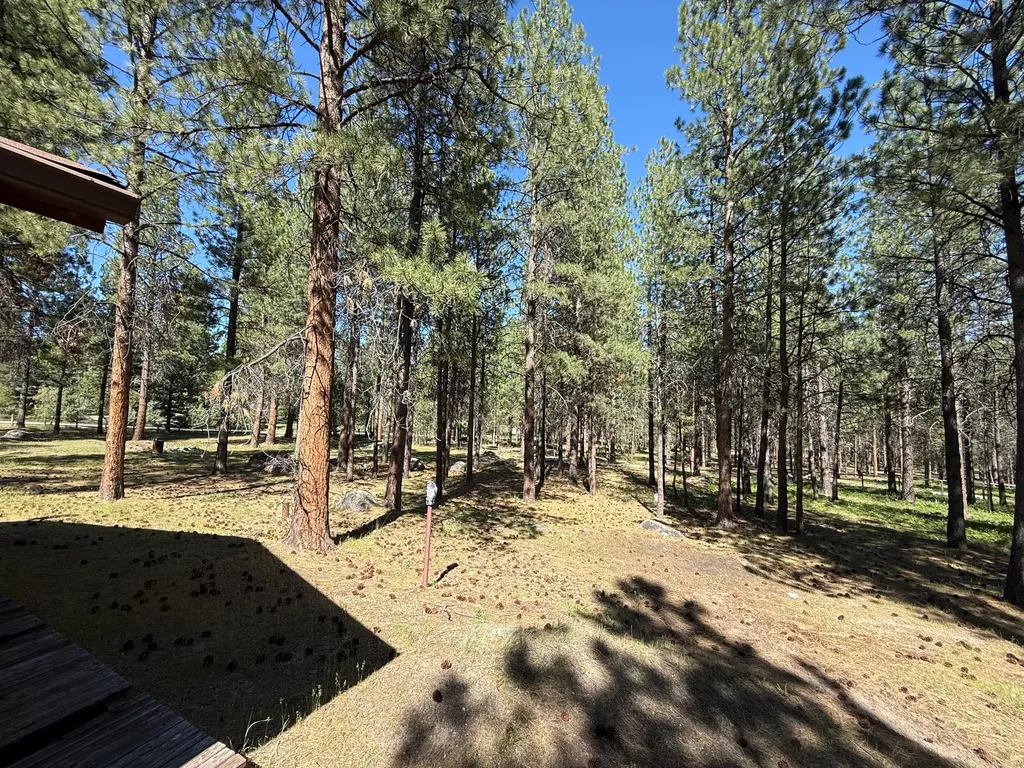 271 Wyant Lane Hamilton MT 59840