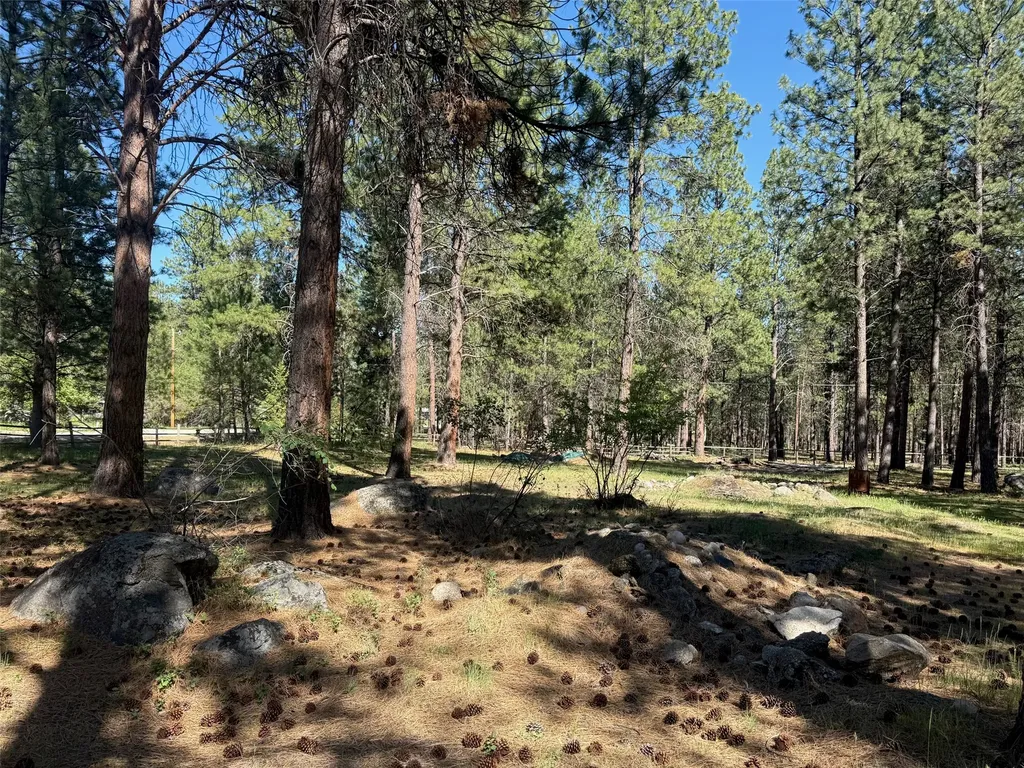 271 Wyant Lane Hamilton MT 59840