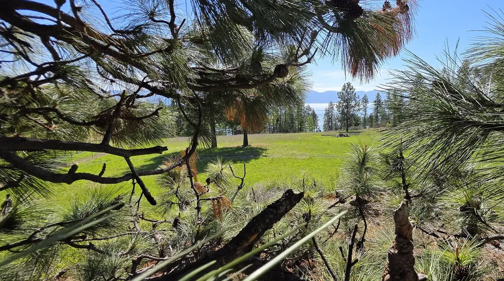 22756 Us Highway 93 Rollins MT 59931