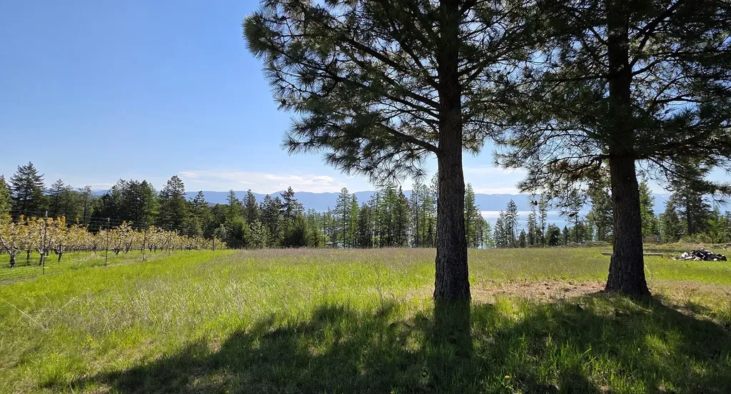 22756 Us Highway 93 Rollins MT 59931