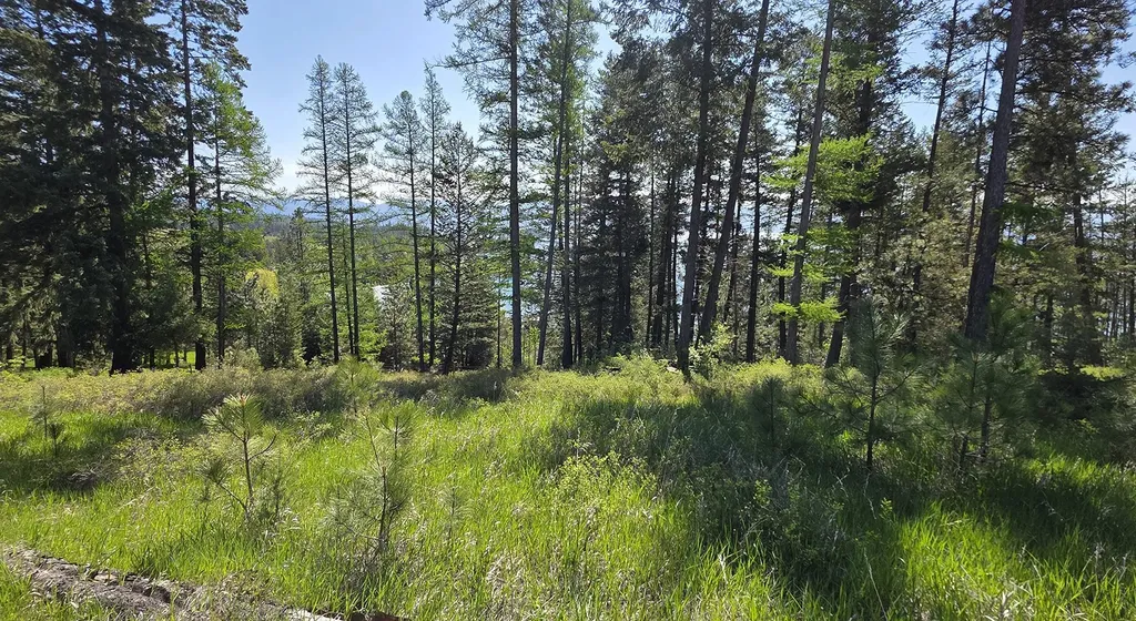 22756 Us Highway 93 Rollins MT 59931