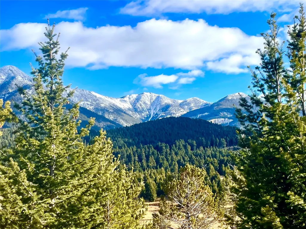 Tbd Livingston Peak Road Livingston MT 59047