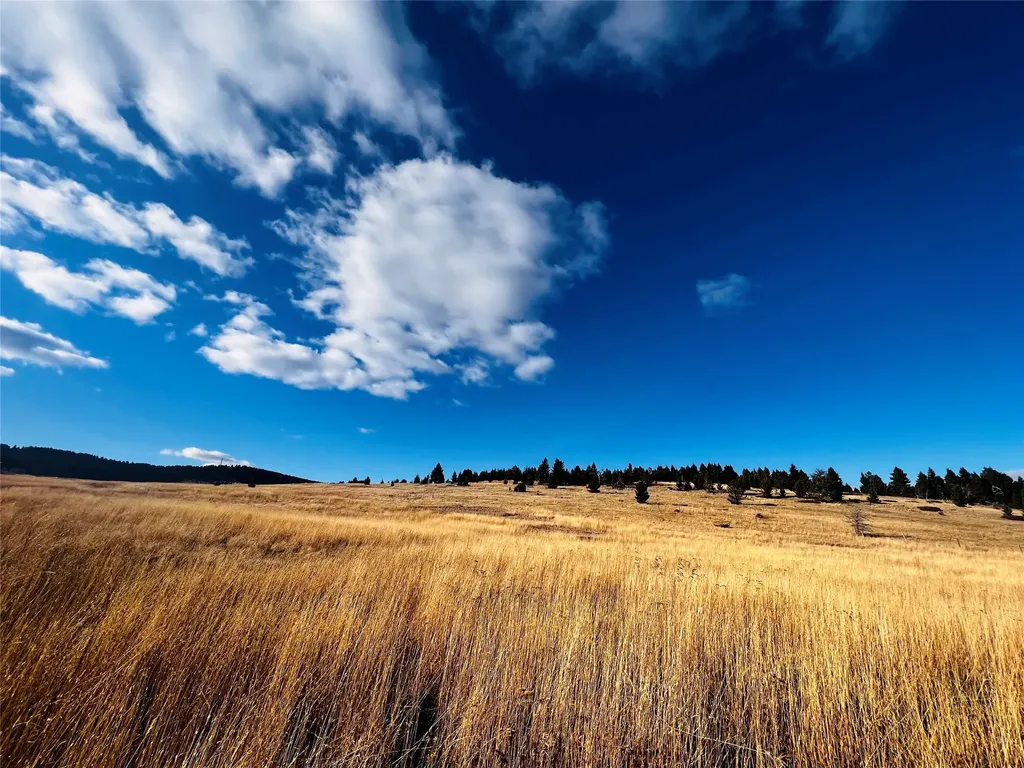 Tbd Livingston Peak Road Livingston MT 59047