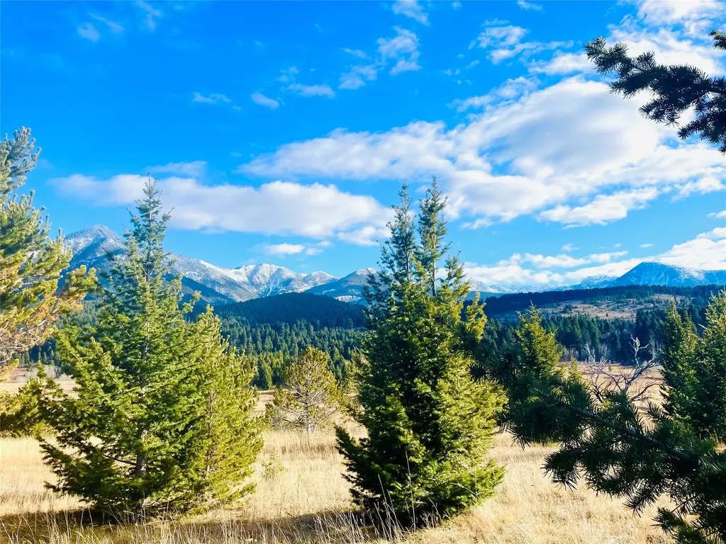 Tbd Livingston Peak Road Livingston MT 59047
