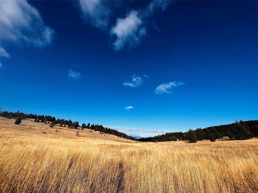 Tbd Livingston Peak Road Livingston MT 59047