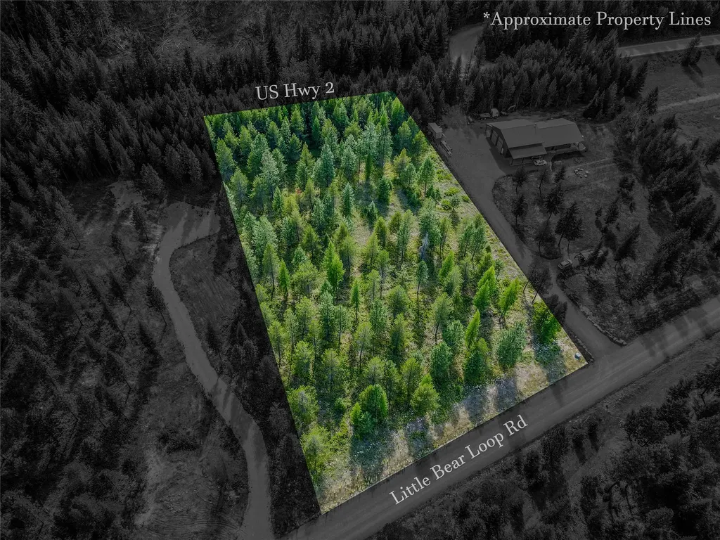 Nhn Little Bear Loop Troy MT 59935