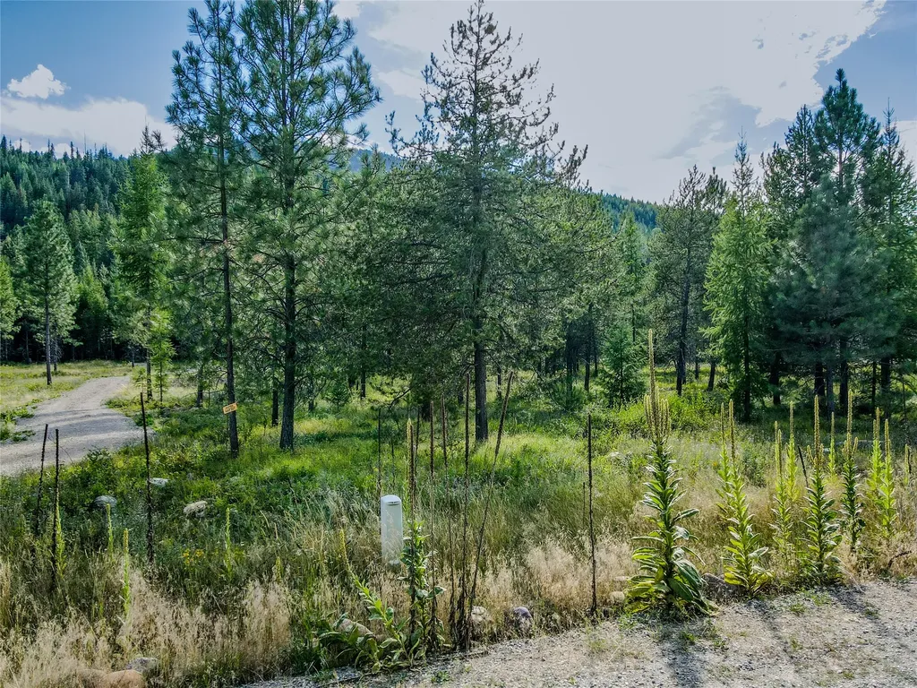 Nhn Little Bear Loop Troy MT 59935