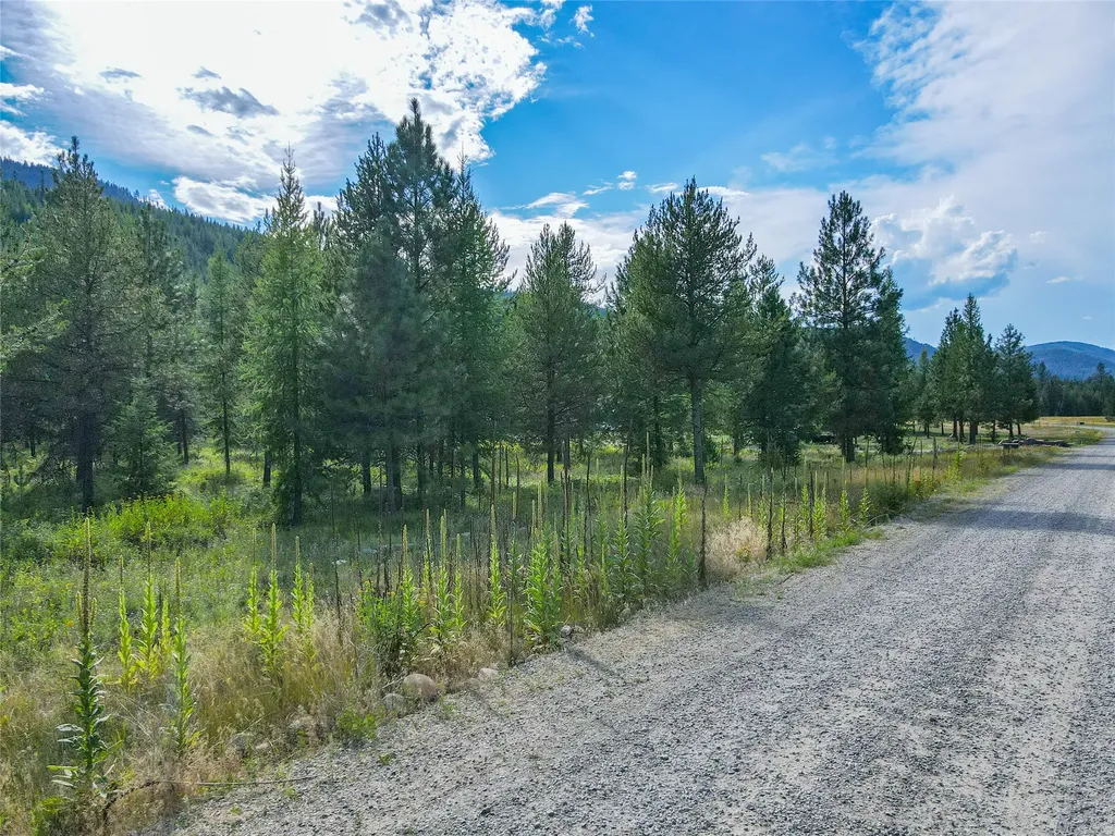 Nhn Little Bear Loop Troy MT 59935
