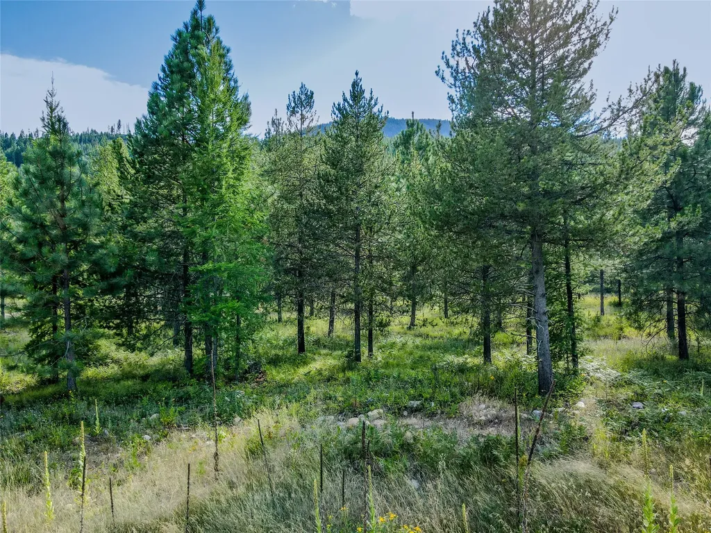 Nhn Little Bear Loop Troy MT 59935