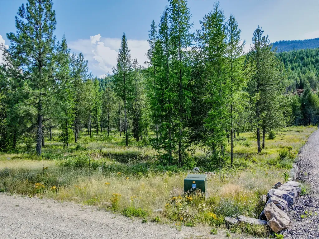 Nhn Little Bear Loop Troy MT 59935