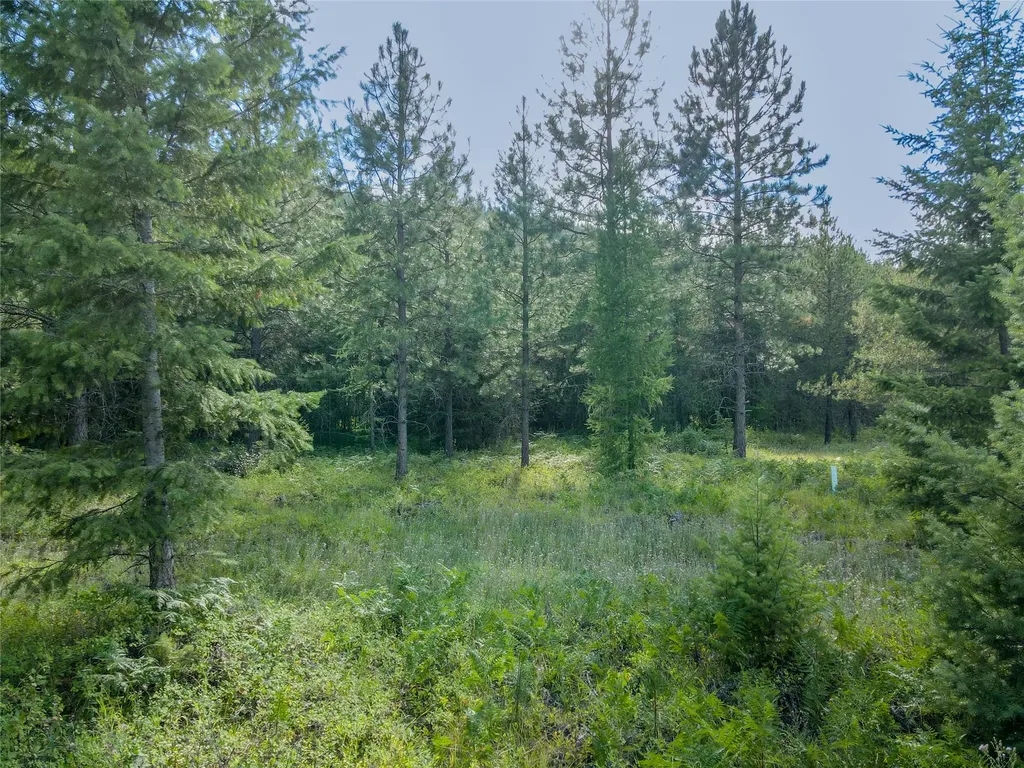 Nhn Little Bear Loop Troy MT 59935