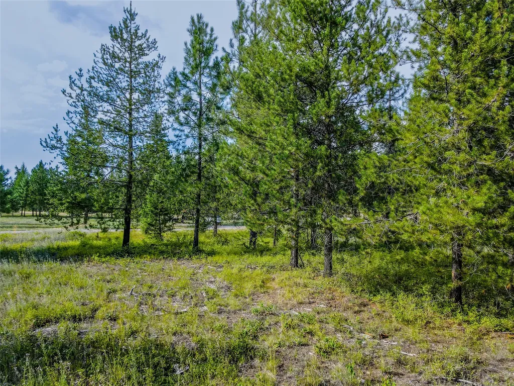 Nhn Little Bear Loop Troy MT 59935