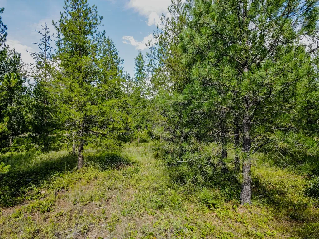 Nhn Little Bear Loop Troy MT 59935