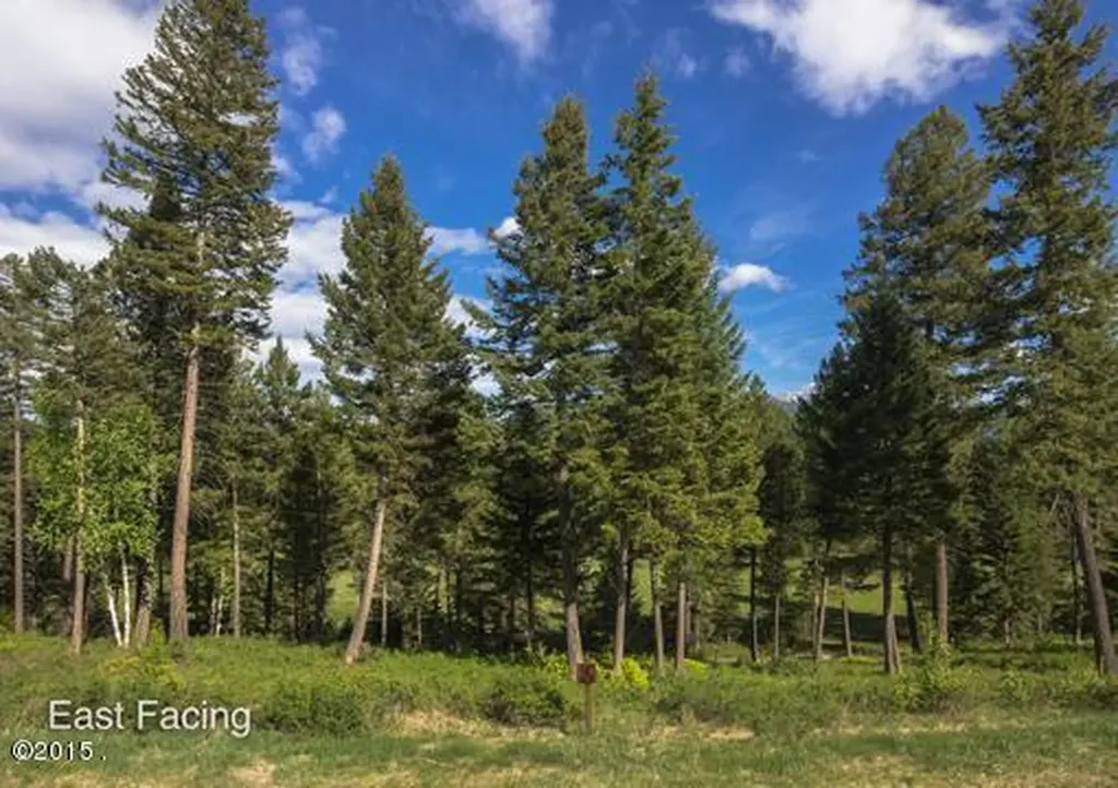 365 Gleneagles Trail Columbia Falls MT 59912
