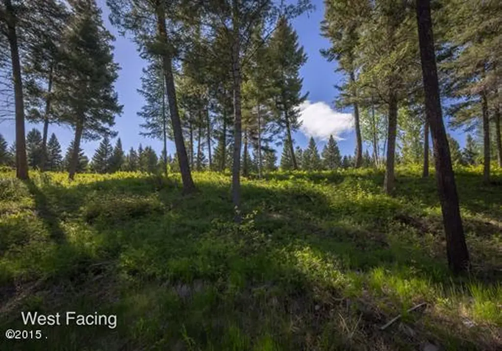 365 Gleneagles Trail Columbia Falls MT 59912