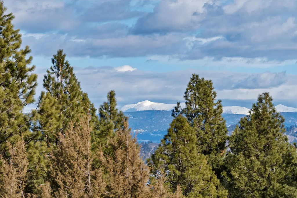 28118 Spring Lane Big Arm MT 59910
