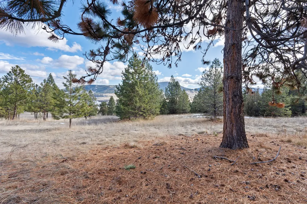 28118 Spring Lane Big Arm MT 59910