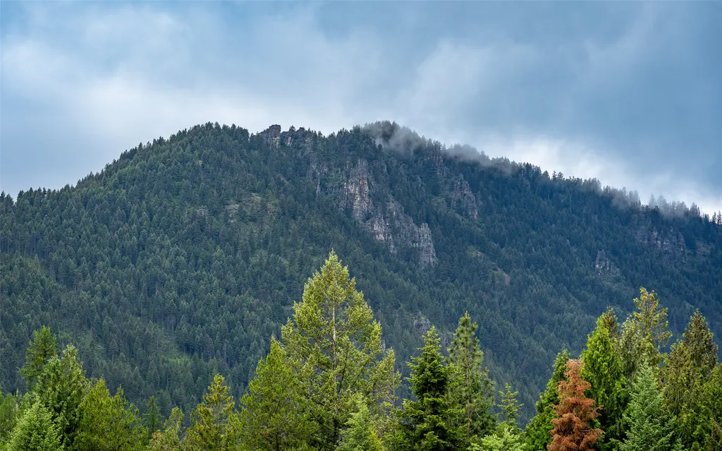 100, 104, 108 Remington Road Noxon MT 59853