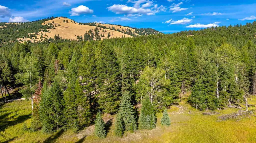 1782 Truman Creek Road Kila MT 59920
