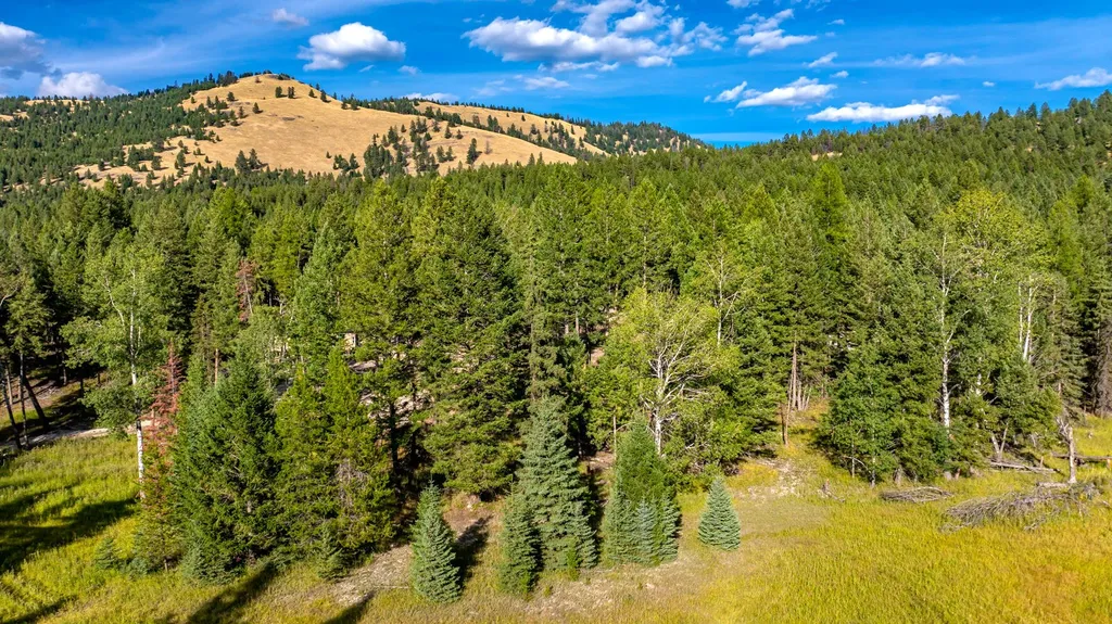 1782 Truman Creek Road Kila MT 59920
