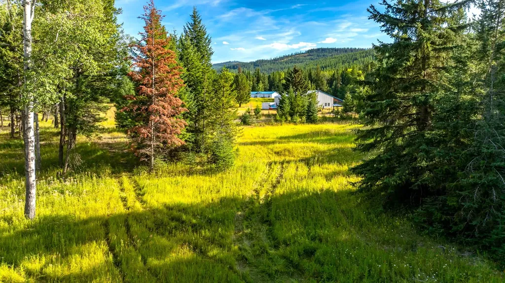 1782 Truman Creek Road Kila MT 59920