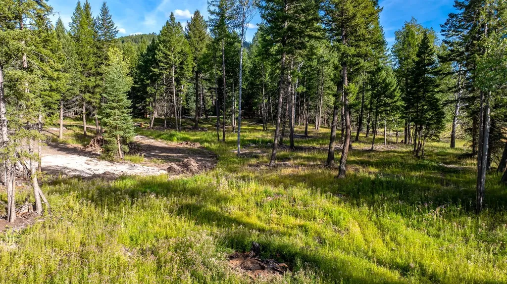 1782 Truman Creek Road Kila MT 59920