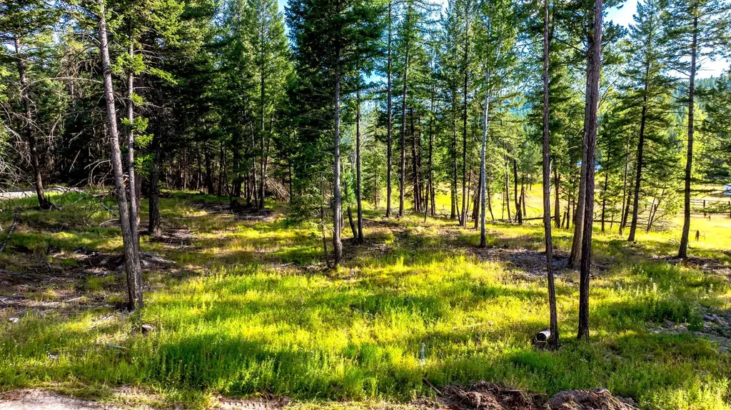 1782 Truman Creek Road Kila MT 59920