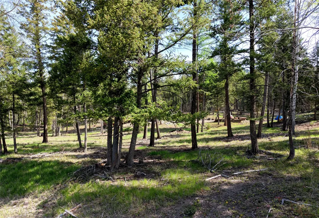 1782 Truman Creek Road Kila MT 59920