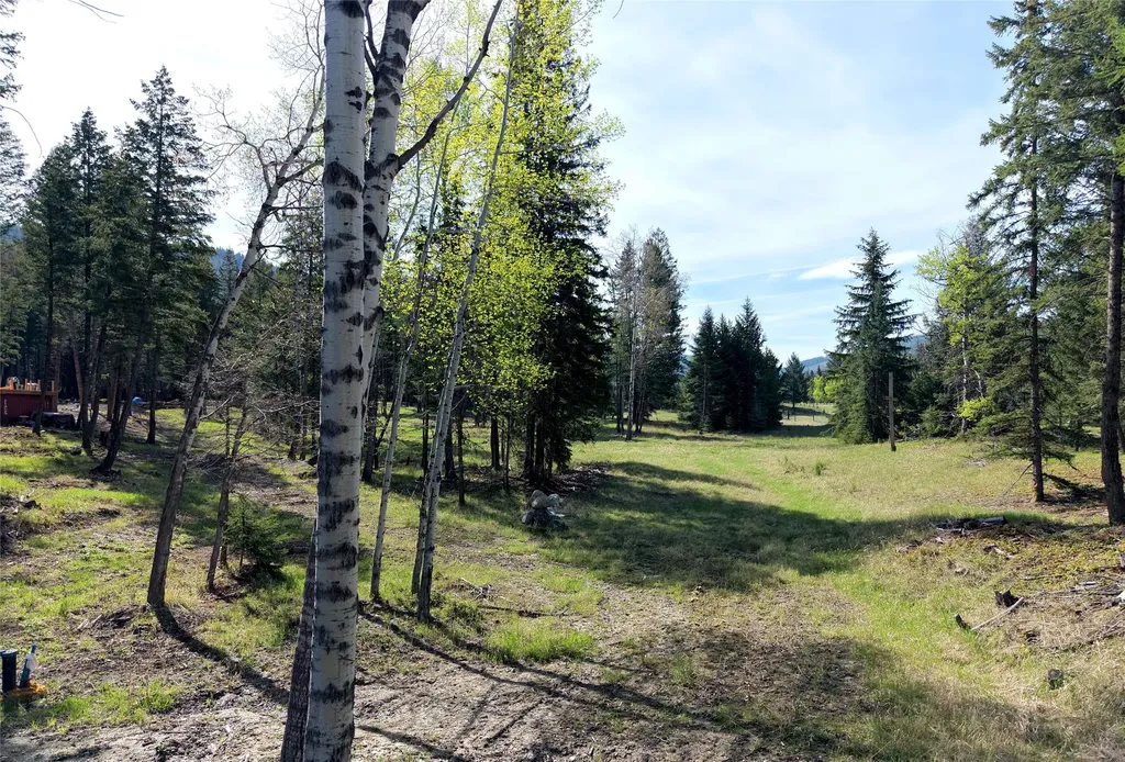 1782 Truman Creek Road Kila MT 59920