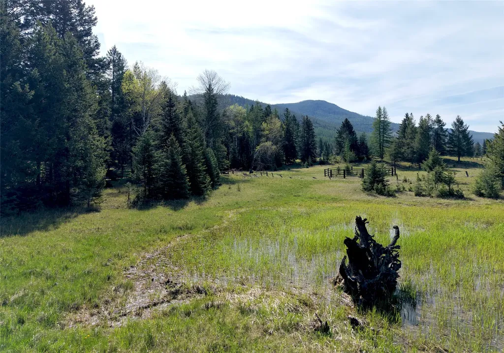 1782 Truman Creek Road Kila MT 59920