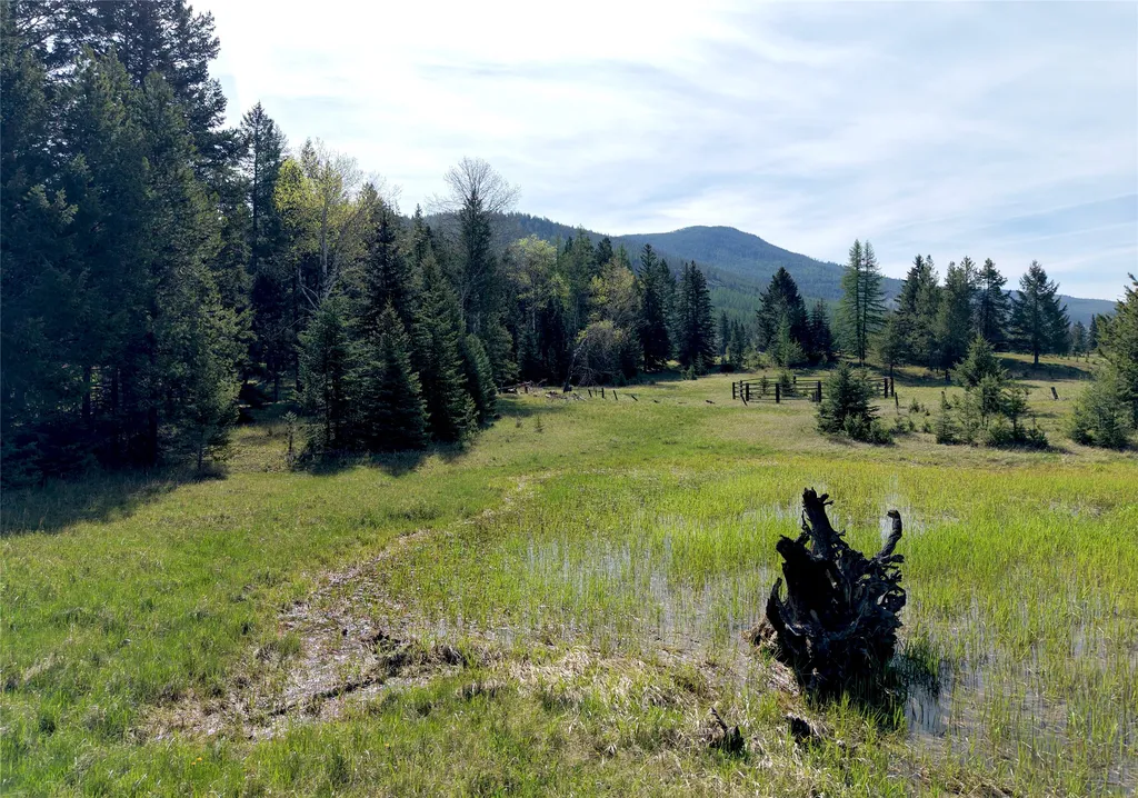 1782 Truman Creek Road Kila MT 59920