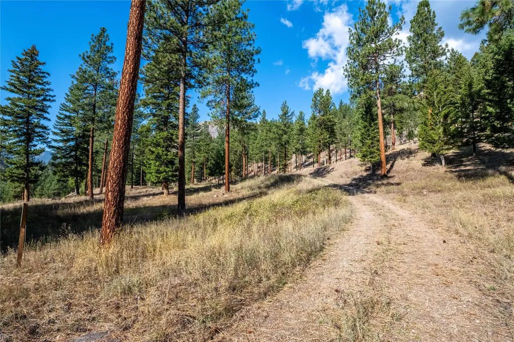 14311 Muddler Court Clinton MT 59825