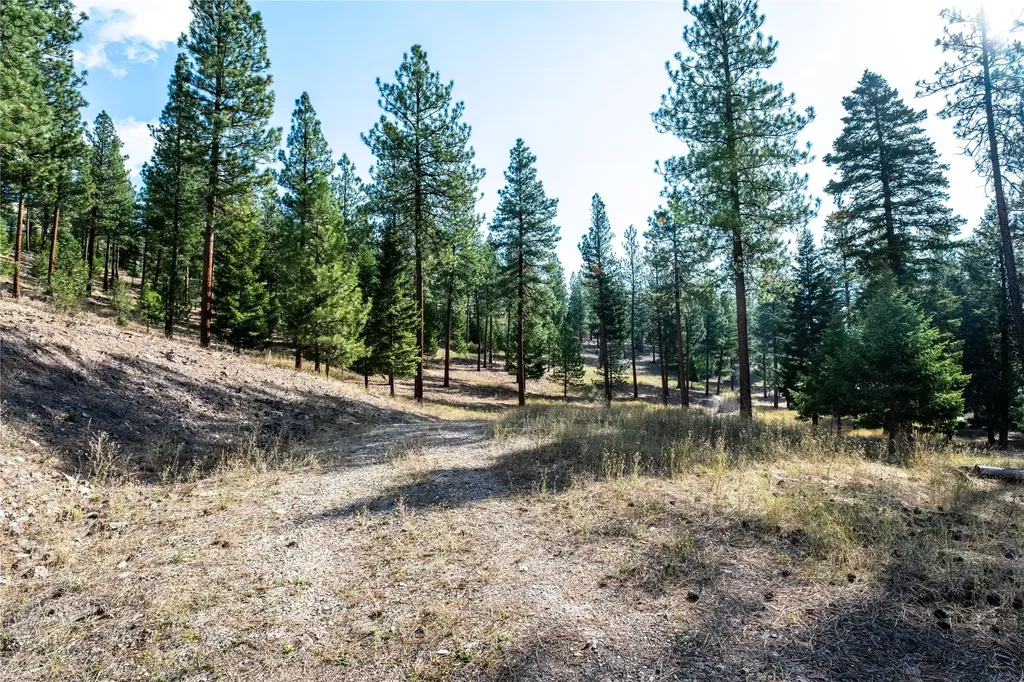 14311 Muddler Court Clinton MT 59825