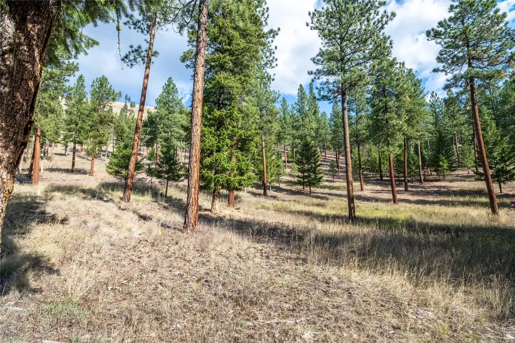 14311 Muddler Court Clinton MT 59825