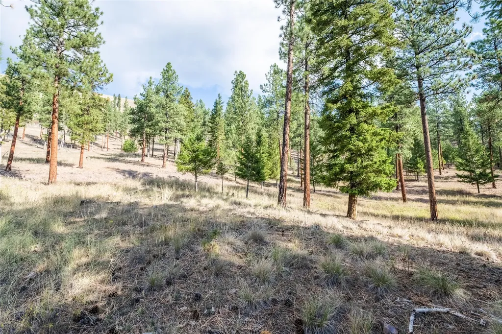 14311 Muddler Court Clinton MT 59825