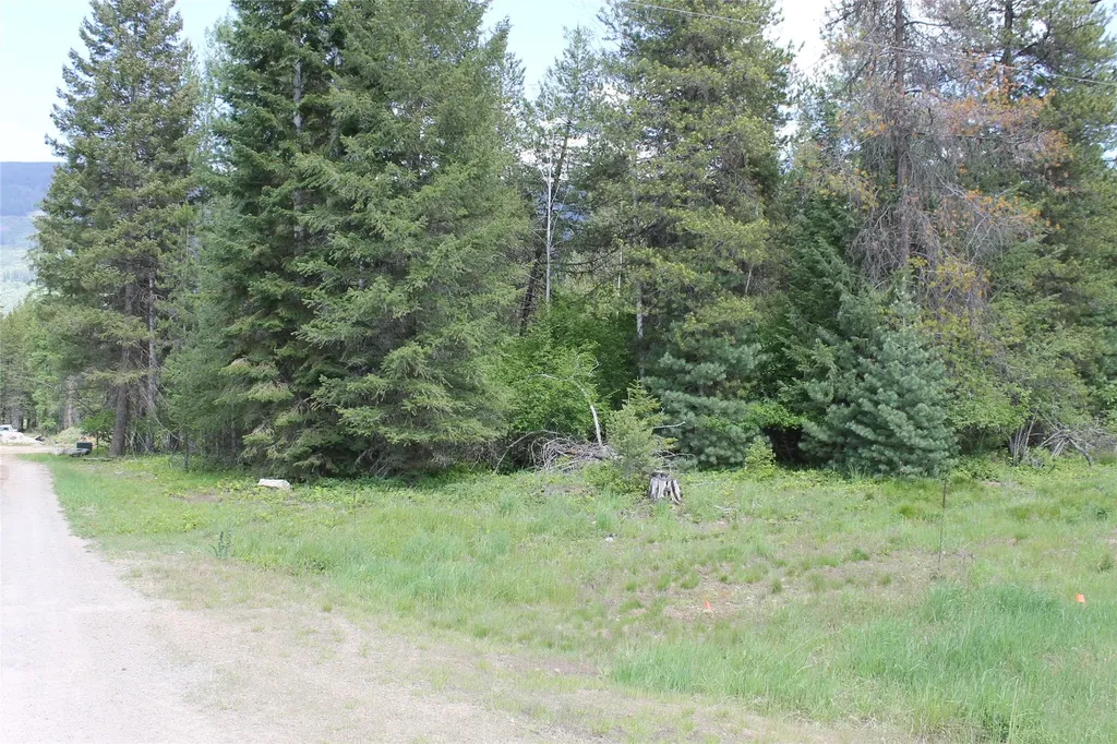2773 Mt Highway 200 Trout Creek MT 59874