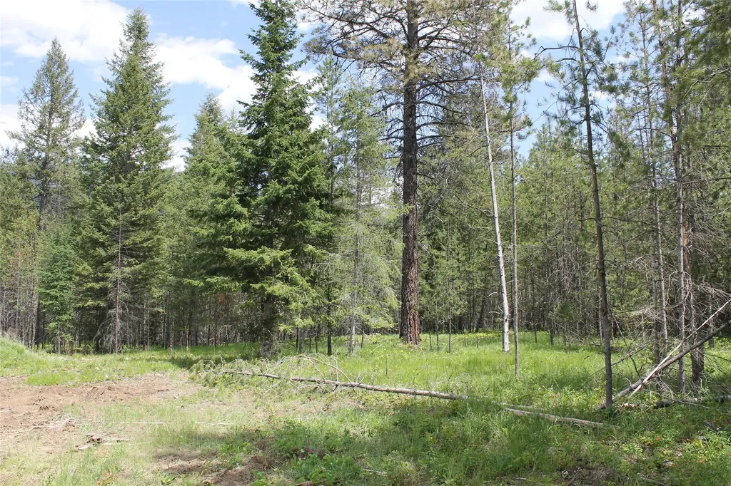 2773 Mt Highway 200 Trout Creek MT 59874