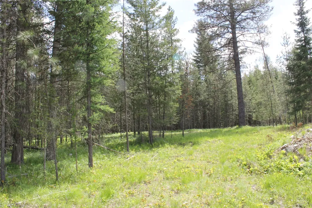 2773 Mt Highway 200 Trout Creek MT 59874
