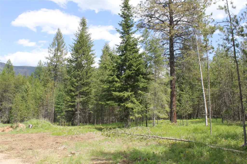 2773 Mt Highway 200 Trout Creek MT 59874