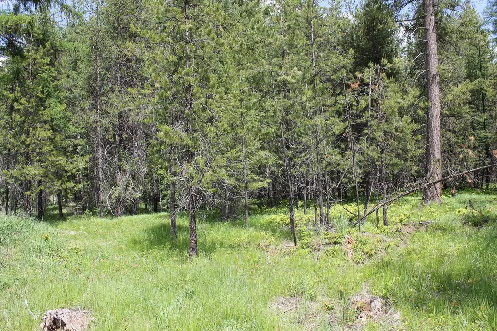 2773 Mt Highway 200 Trout Creek MT 59874