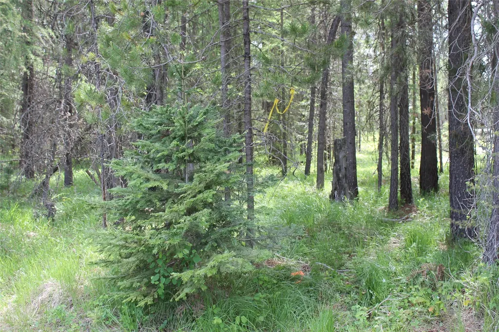 2773 Mt Highway 200 Trout Creek MT 59874