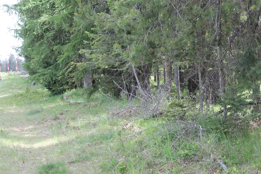 2773 Mt Highway 200 Trout Creek MT 59874