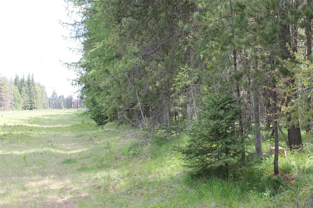 2773 Mt Highway 200 Trout Creek MT 59874