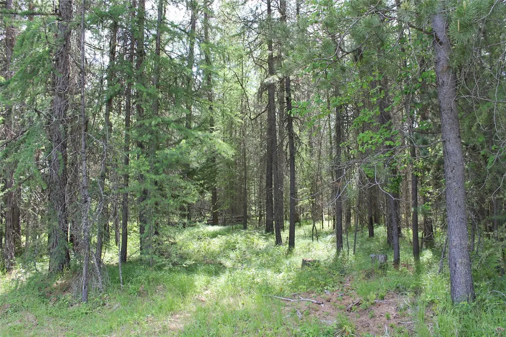 2773 Mt Highway 200 Trout Creek MT 59874