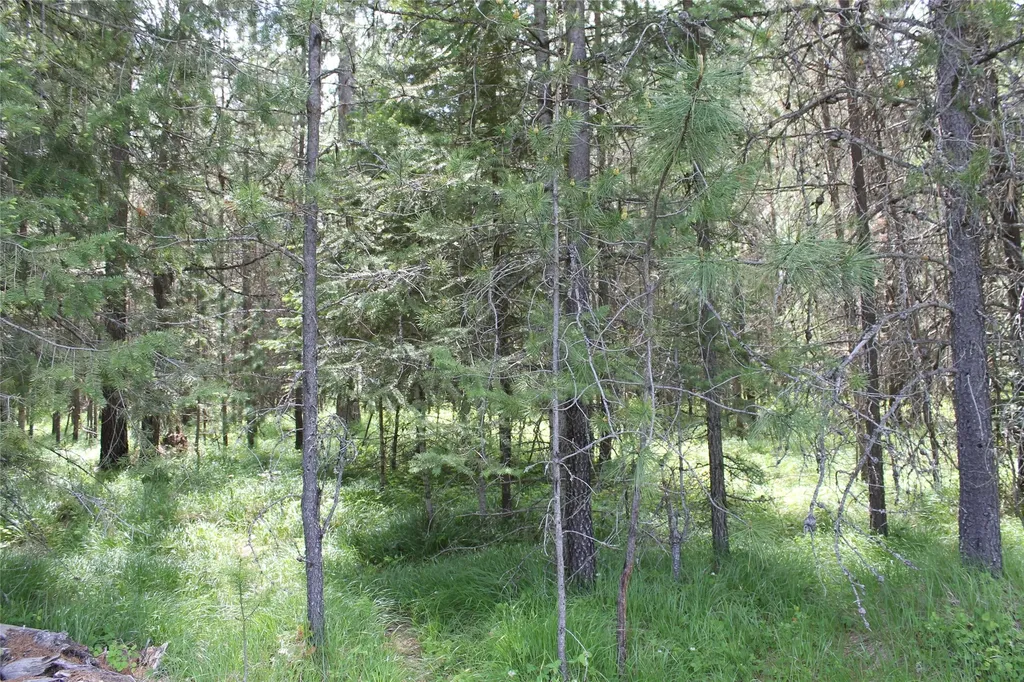 2773 Mt Highway 200 Trout Creek MT 59874