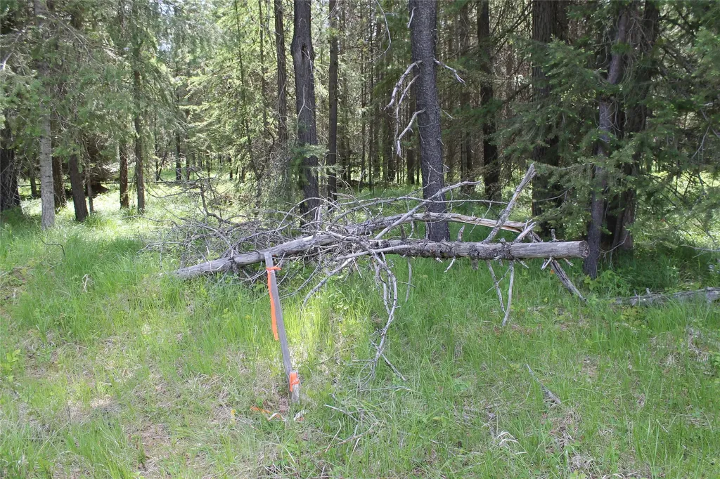 2773 Mt Highway 200 Trout Creek MT 59874