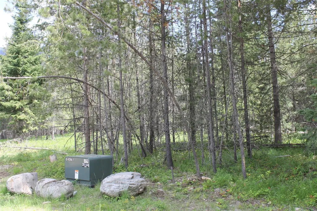 2773 Mt Highway 200 Trout Creek MT 59874
