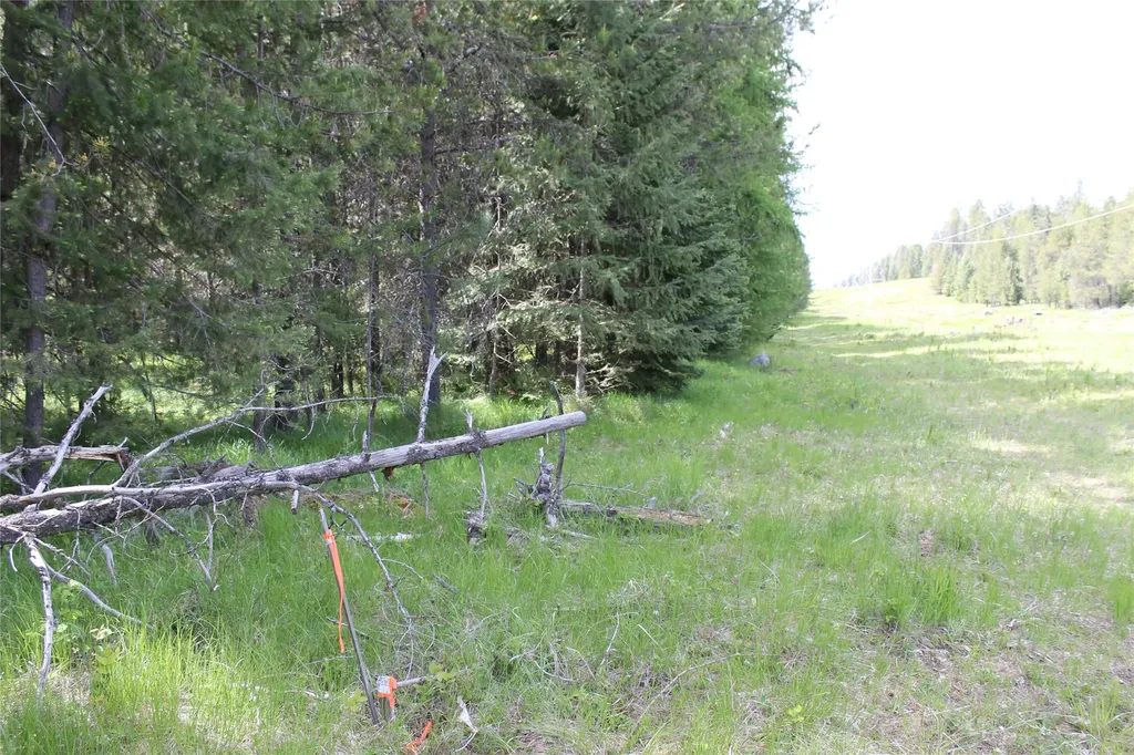 2773 Mt Highway 200 Trout Creek MT 59874