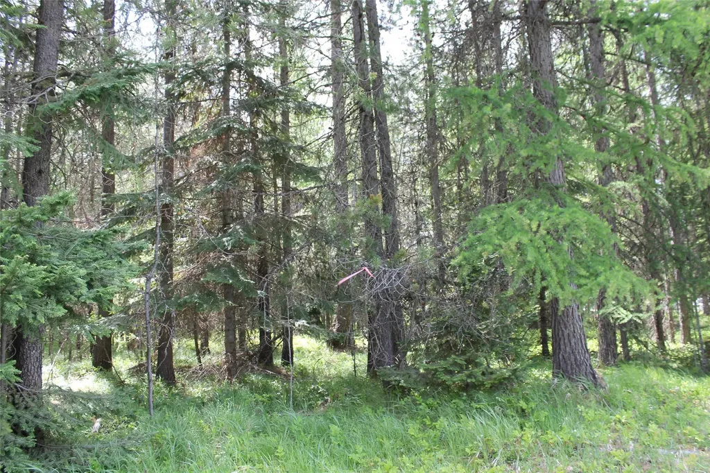 2773 Mt Highway 200 Trout Creek MT 59874